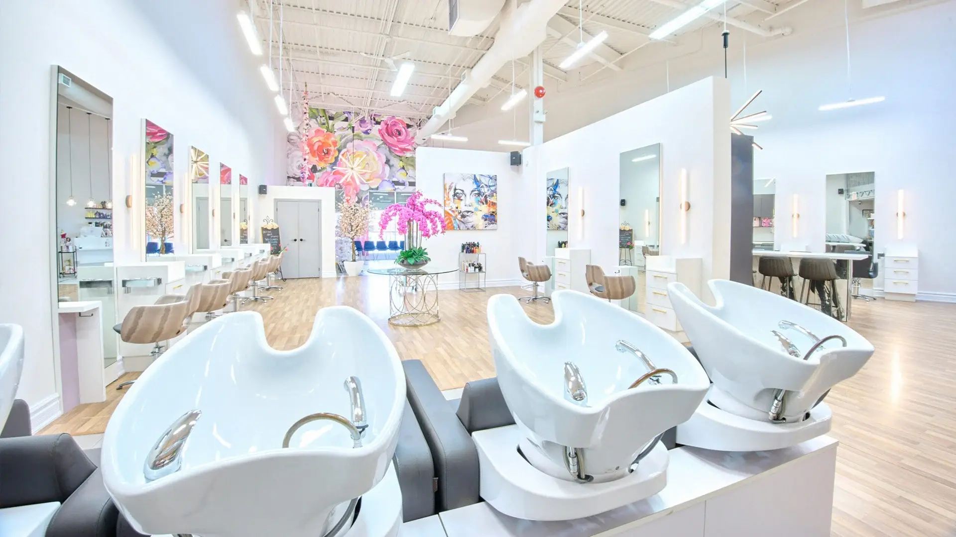 Royale Dream Clean - Professional Clean