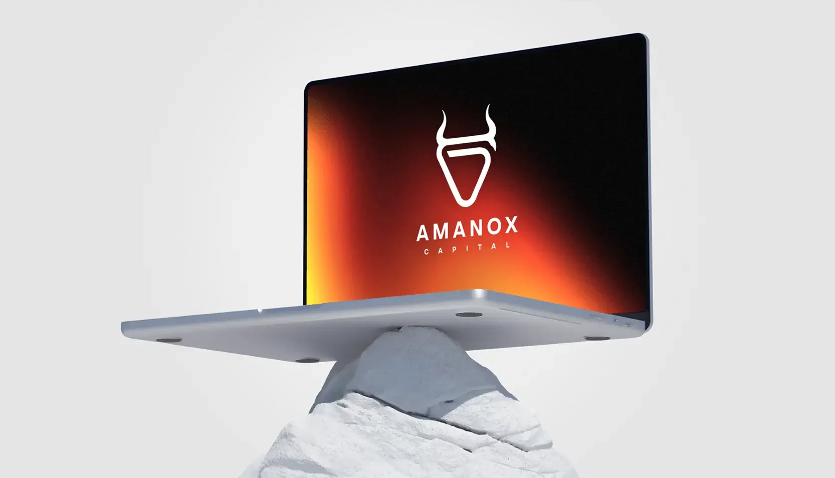 Amanox Case Study Image