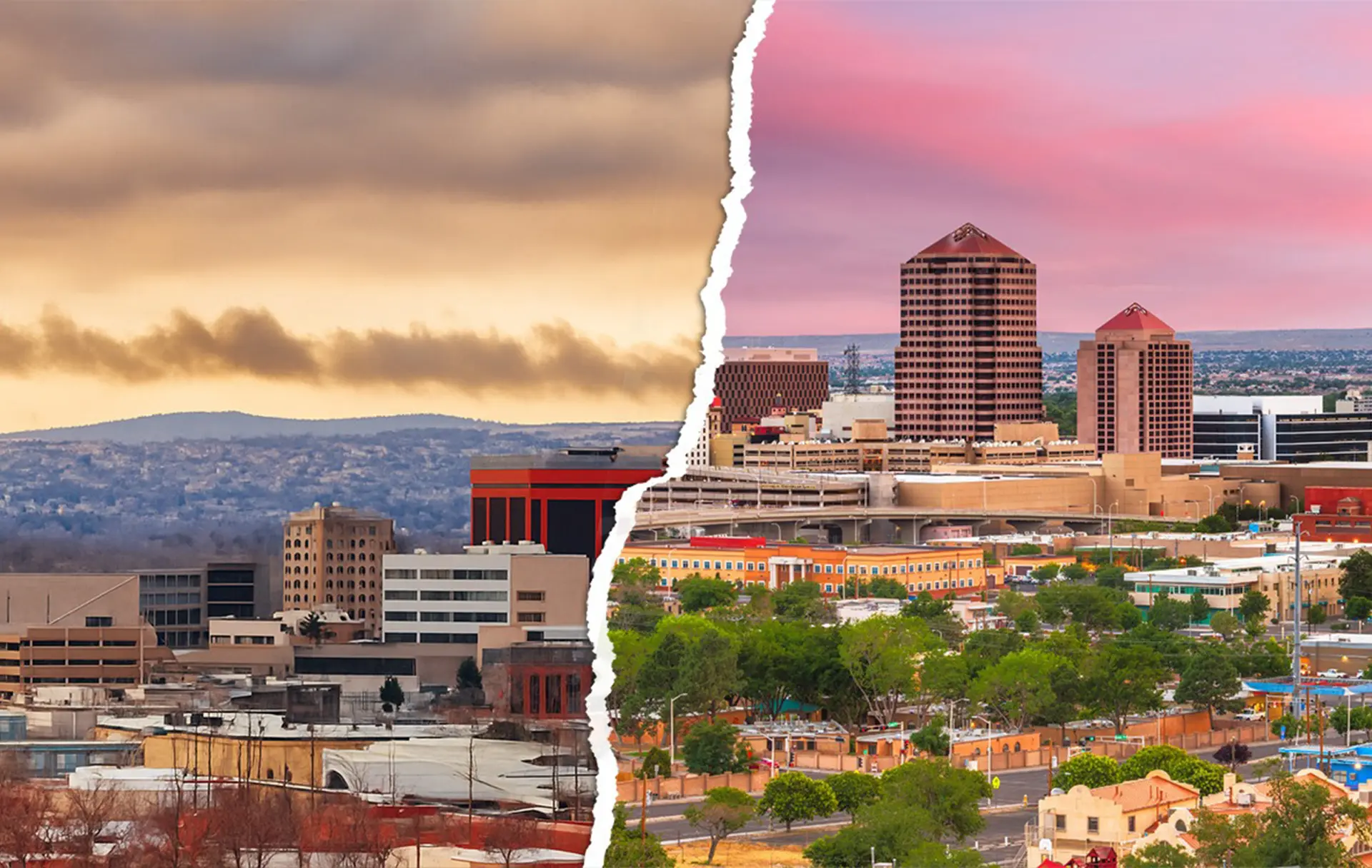 Estate Sales by Wings Cover Banner