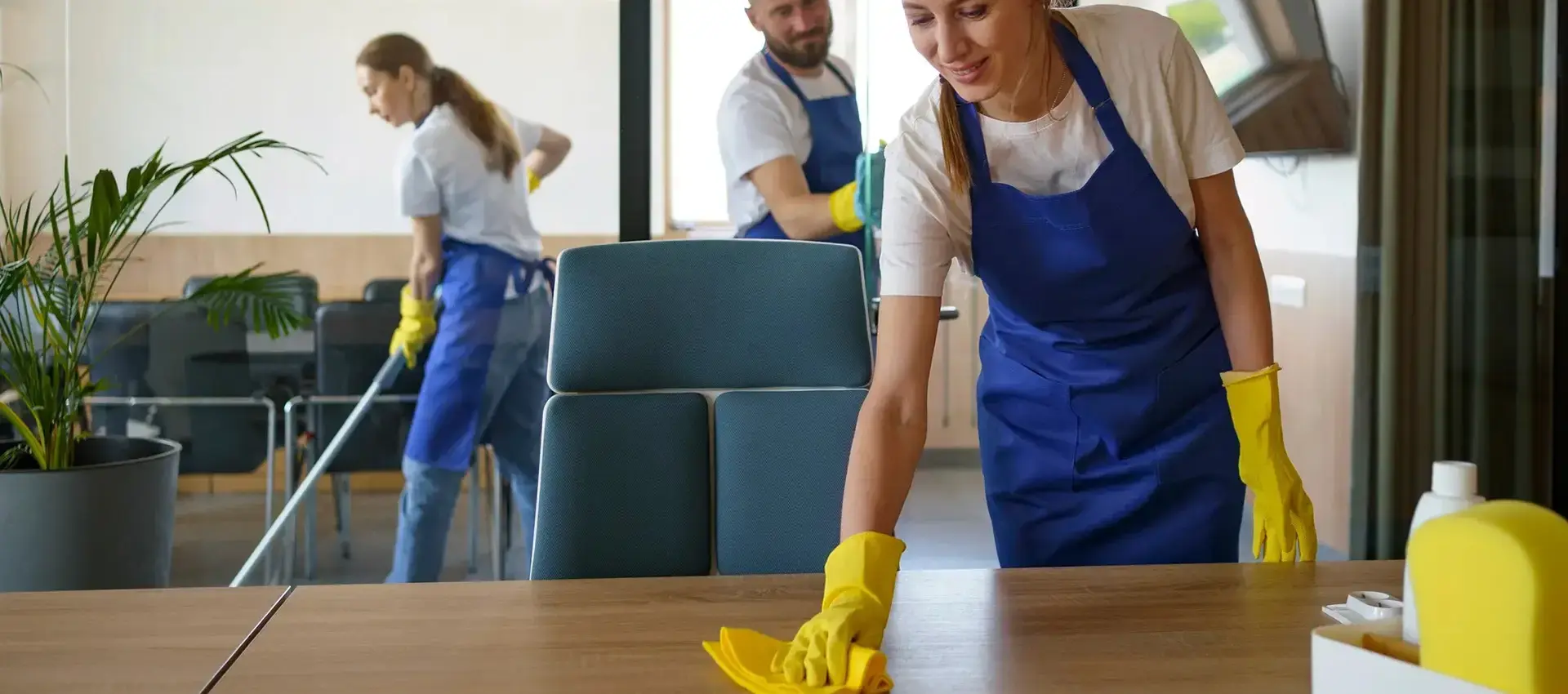 Royale Dream Clean - Professional Clean