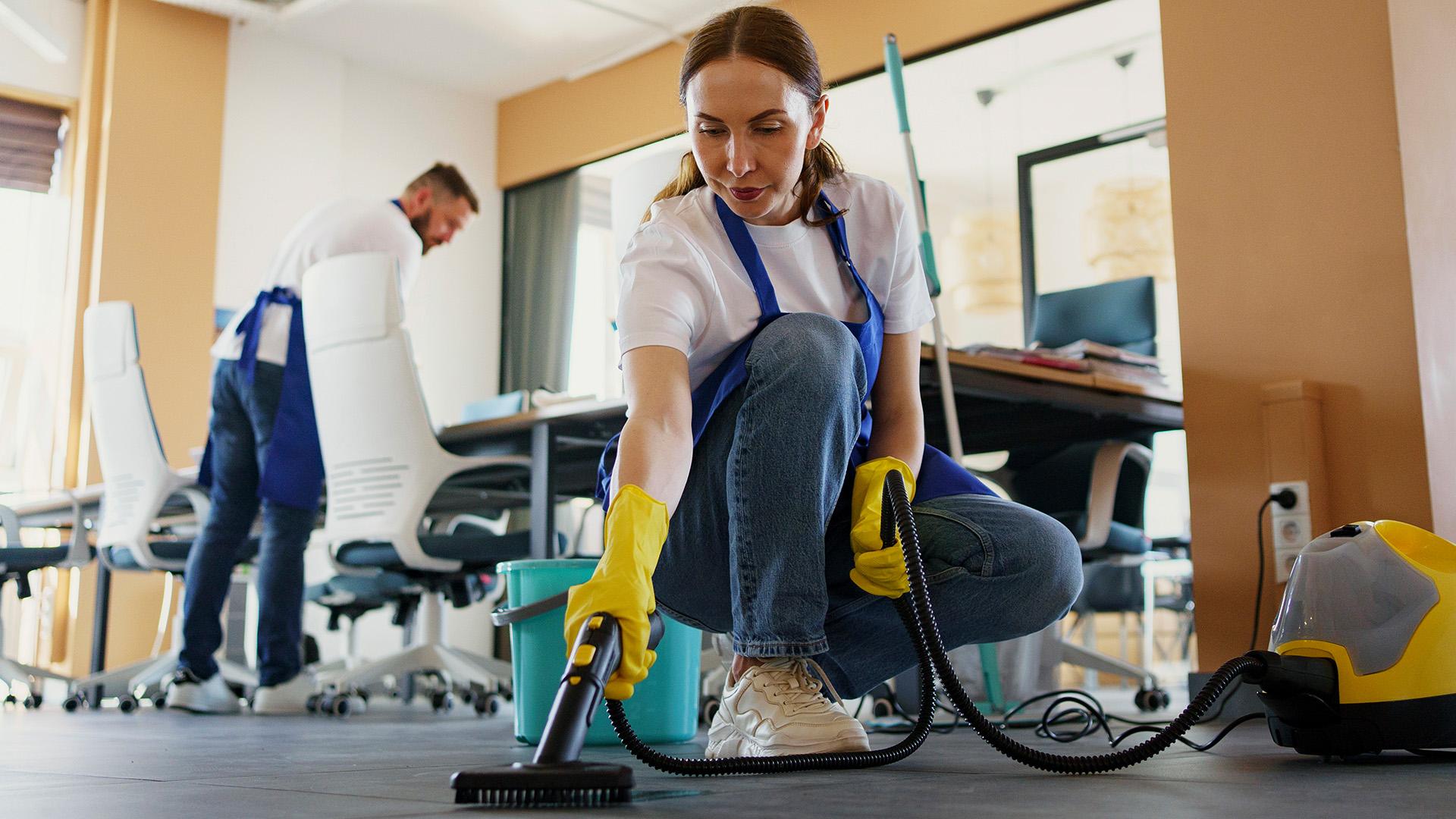 Royale Dream Clean - Professional Clean